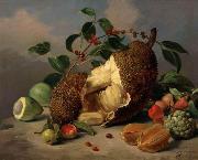 Still life with fruit unknow artist